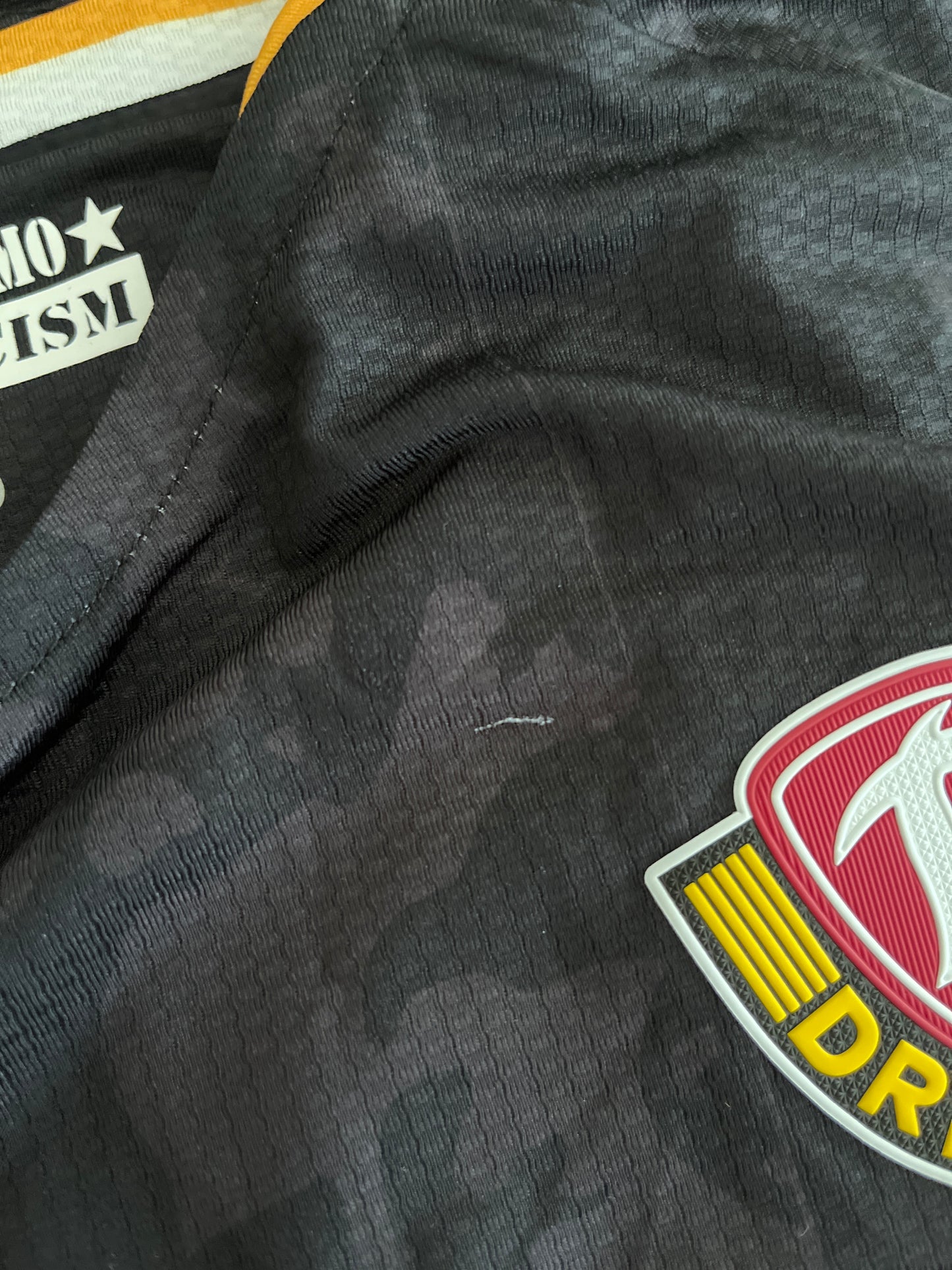 Dynamo Dresden 2024/25 Auswärtstrikot