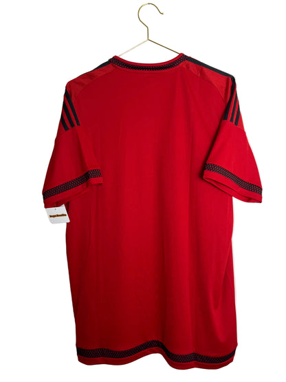 West Bromwich Albion 2015/16, Auswärtstrikot, L